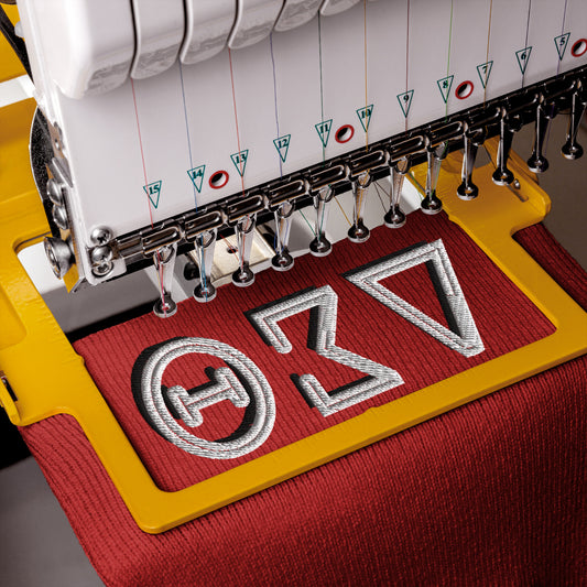 DST Delta Sigma Theta Greek Letters Cuffed Beanie